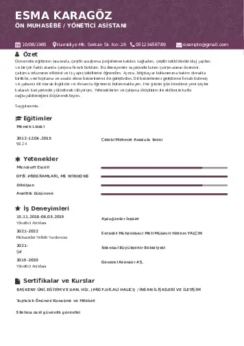 Yönetici Asistanı Cv Örnekleri cv indir